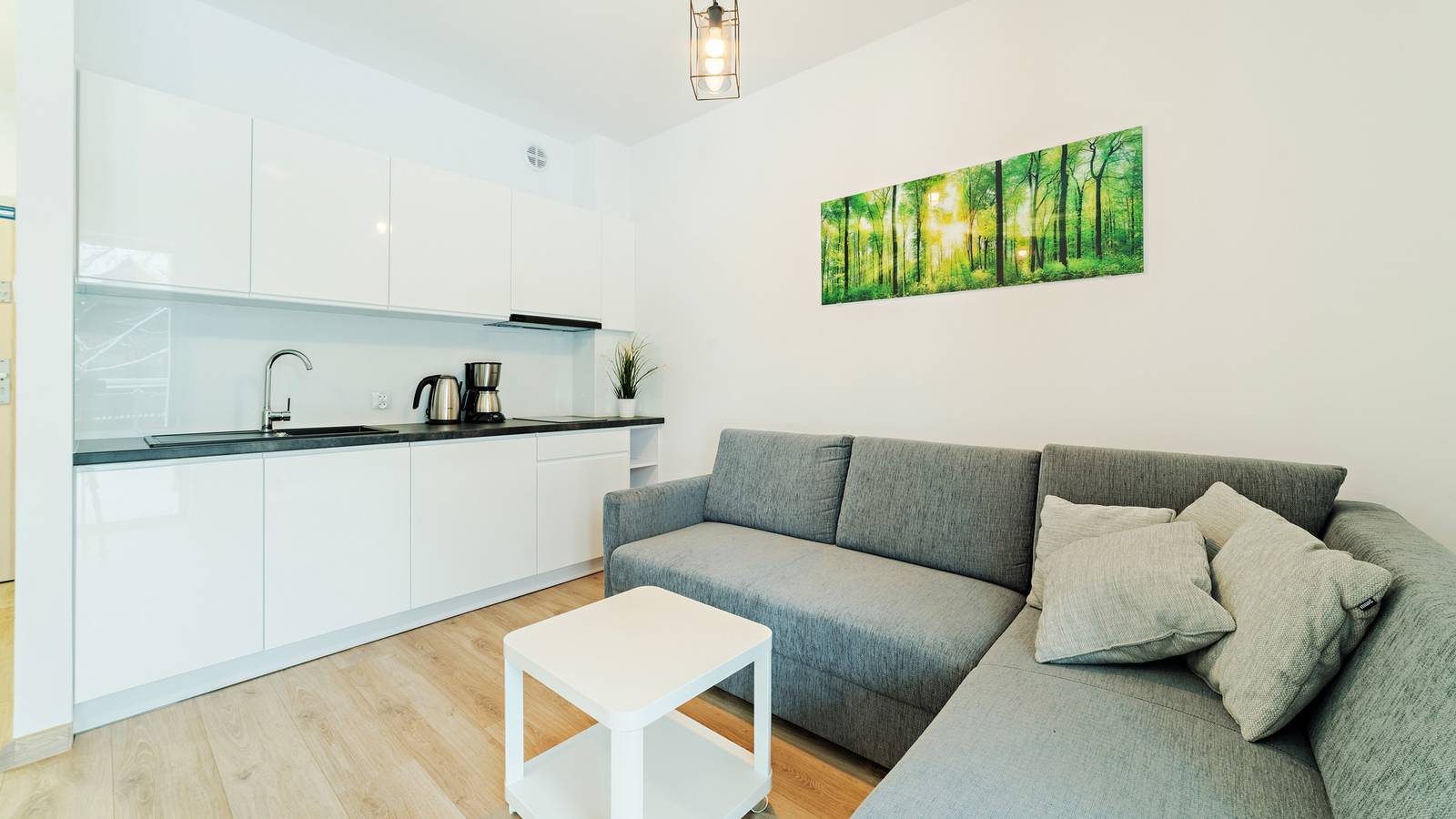 Ganze Ferienwohnung, Sun&Snow Sarnia - Apartment 7/7 in Karpacz, Sudeten (Polen)