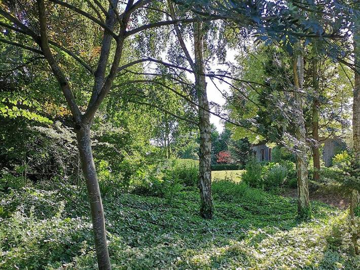 Location de vacances pour 4 personnes, avec jardin et vue à Sommery - 3
