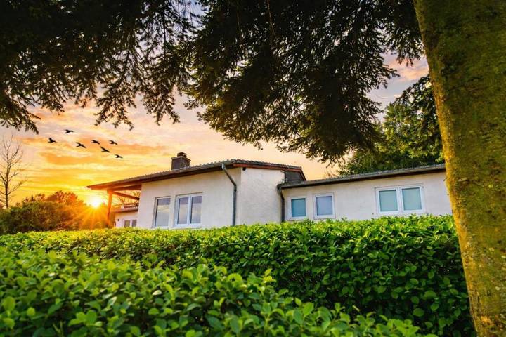 Ferienhaus für 6 Personen, mit Garten und Ausblick sowie Seeblick, mit Haustier in der Eifel - 3