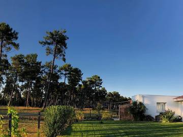 Gîte pour 4 personnes, avec jardin à Lanton