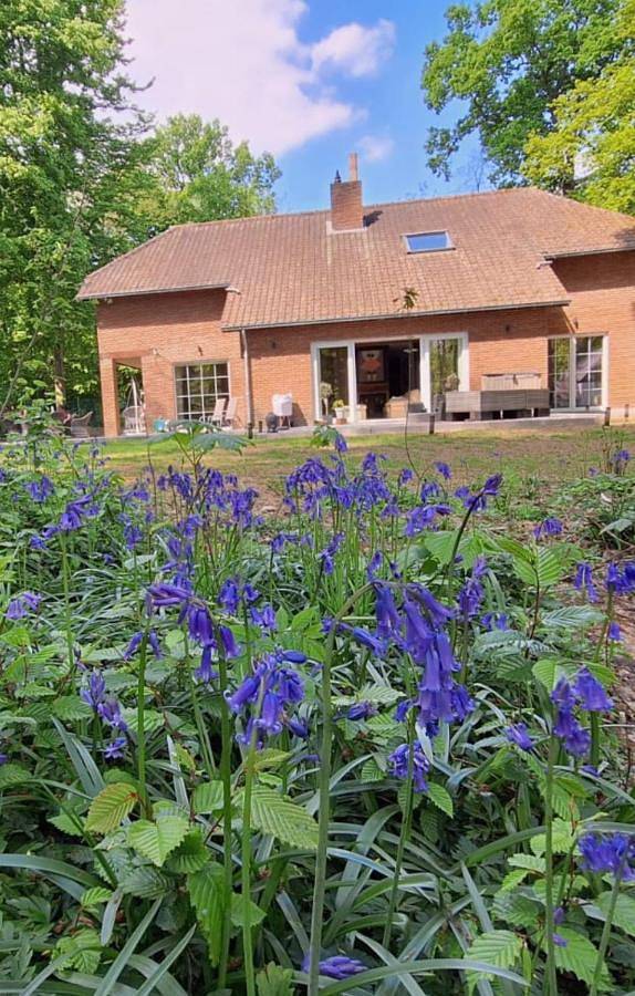 Location de vacances pour 4 personnes, avec jardin à Enghien (homonymie) - 4
