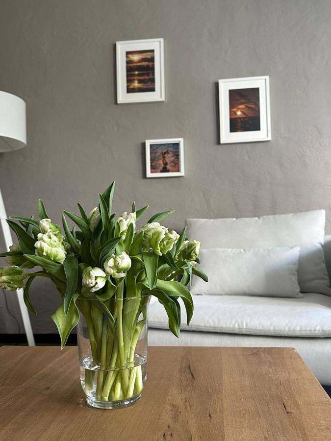 Three-Bedroom House in Treptow - Köpenick, Berlin