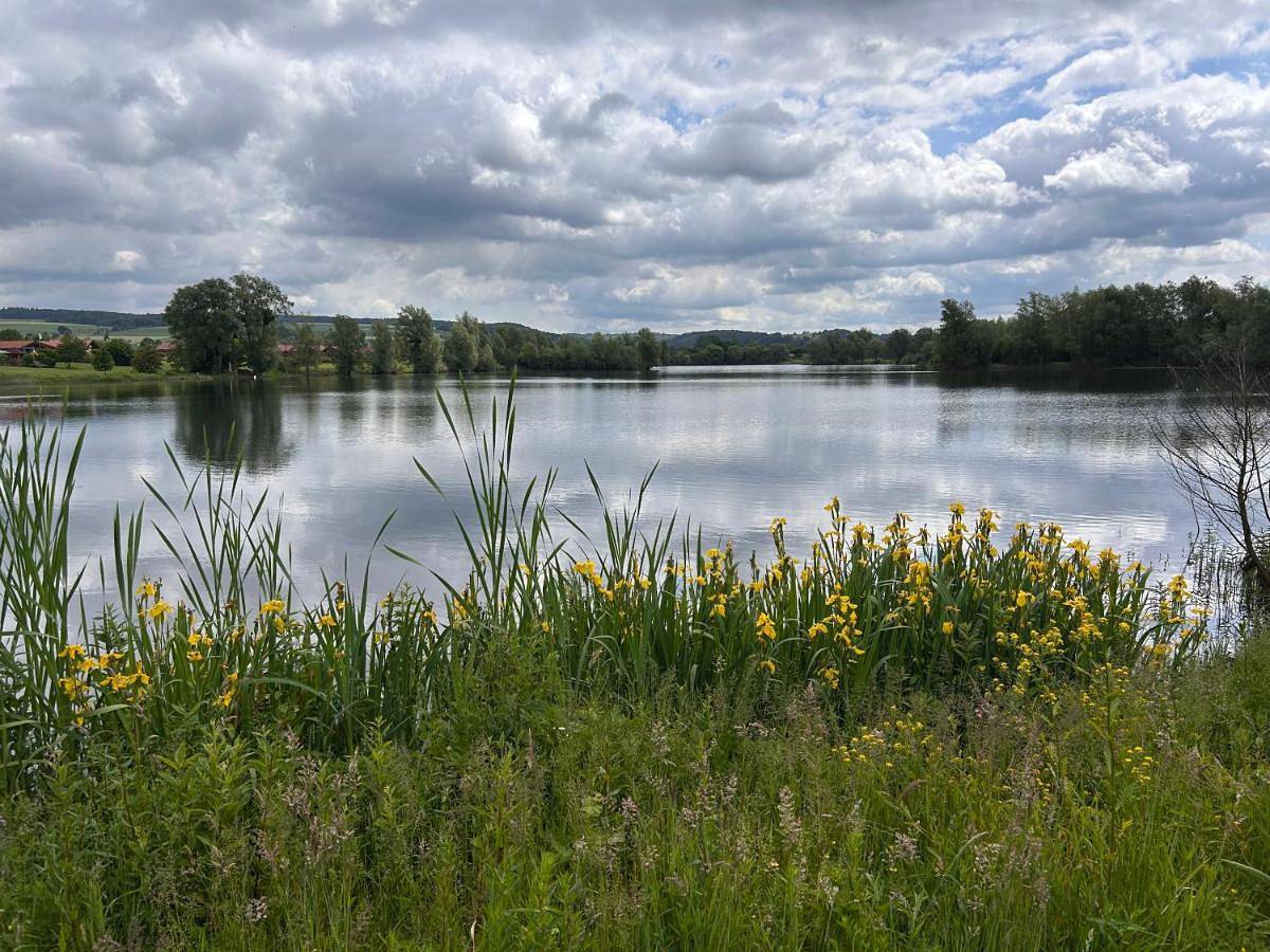 Seehäuschen in Lauenförde, Landkreis Holzminden