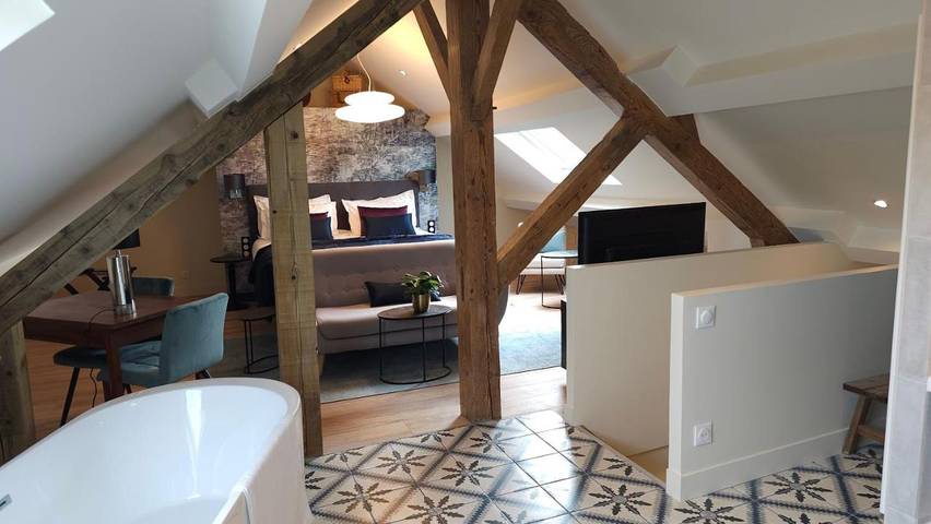 Chambre d’hôte pour 4 personnes, avec jardin et vue, animaux acceptés dans Marne - 2