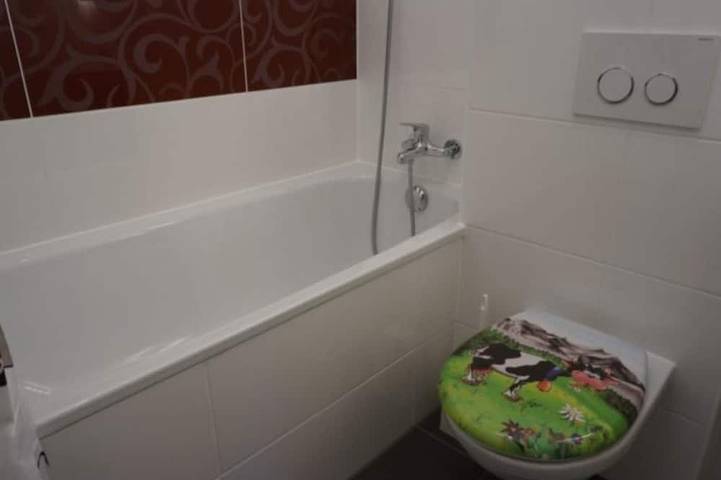 Ganze Wohnung, Paradies 035 Appartement/Fewo,  , 2-Bettwohnung 2-Bettwohnung in Arosa, Plessur Alpen