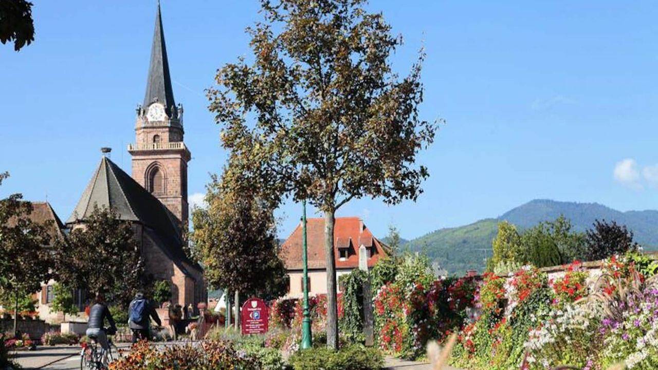 Entire holiday apartment, Ferienwohnung für 4 Personen (33 m²) in Bergheim in Bergheim (Alsace), Parc naturel régional des Ballons des Vosges