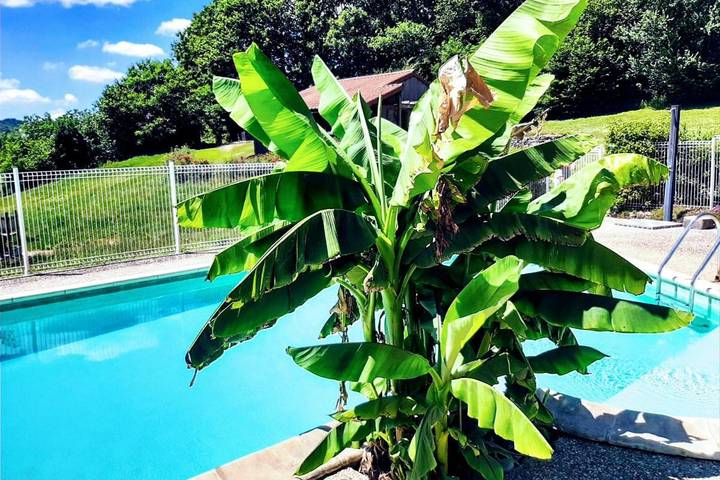 Location de vacances pour 5 personnes, avec piscine ainsi que vue et jardin, animaux acceptés à Junhac - 2