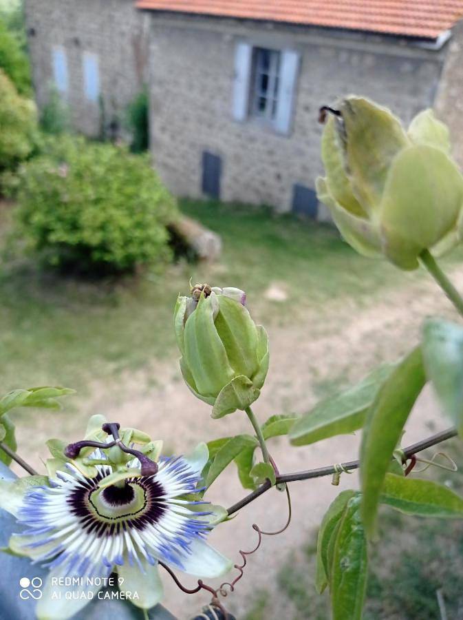 Maison de vacances pour 15 personnes, avec Terrasse et Jardin ainsi que Piscine et Vue dans Safari Peaugres
