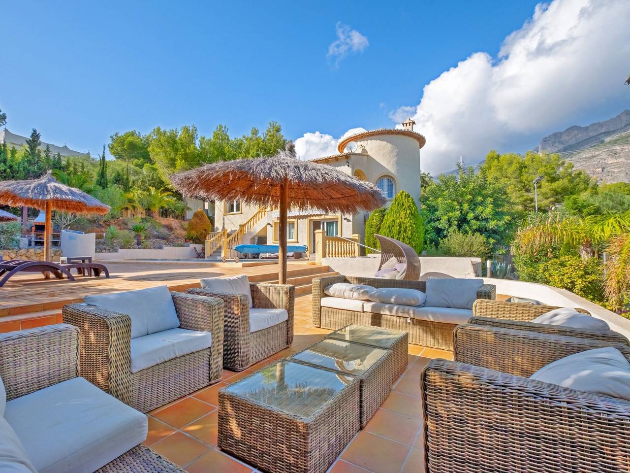 Gekko in Altea La Vella, Altea