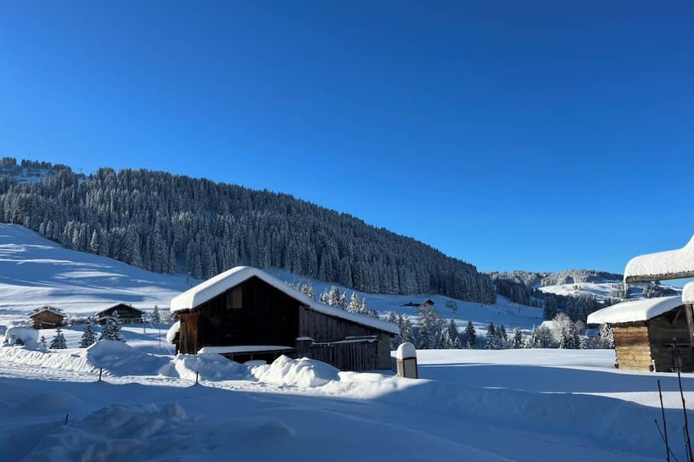 1/2 chalet tout confort avec jacuzzi in Notre-Dame-de-Bellecombe, Région d'Albertville