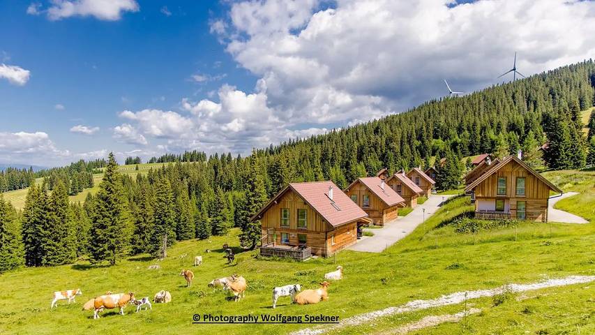Ferienhaus für 6 Personen, mit Terrasse und Sauna, mit Haustier