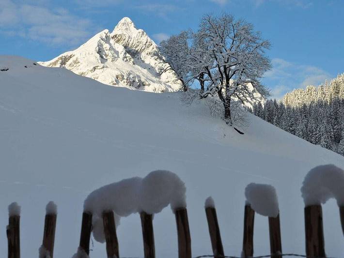Villa Natur - wohnen der anderen Art in Bregenzerwald (Vorarlberg), Schröcken