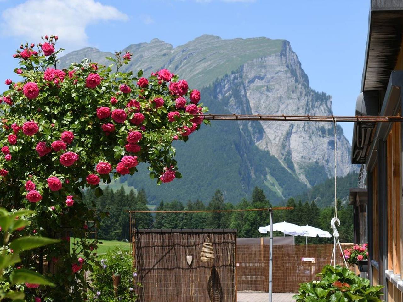 Ganze Ferienwohnung, Ferienwohnungen Schantl im Bregenzerwald in Schoppernau, Bregenzerwald