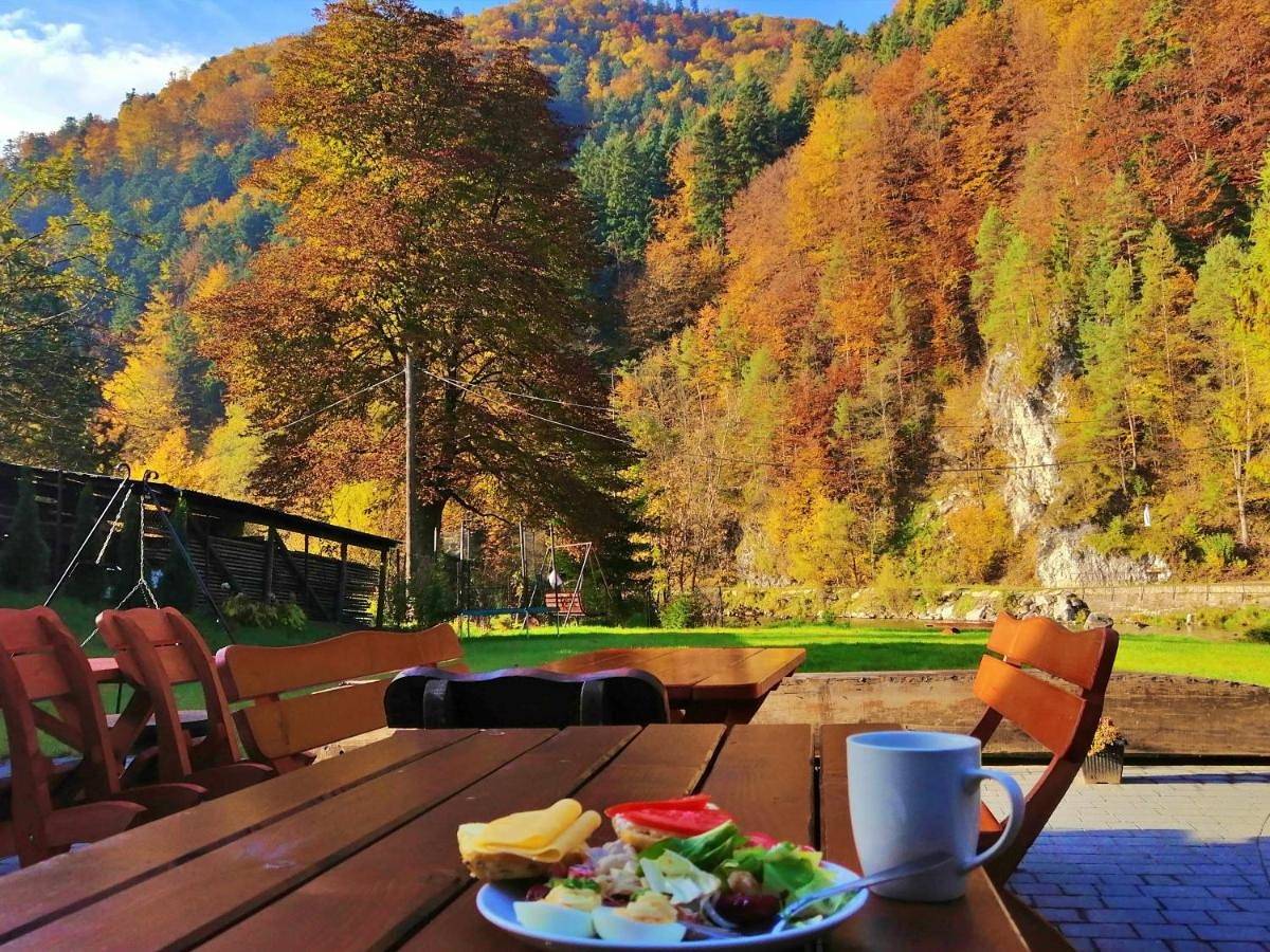 Aparthotel dla 3 osób z taras in Szczawnica, Karpaty (Polska)