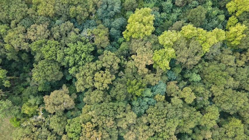 Gîte pour 7 personnes, avec piscine ainsi que terrasse et jardin à Gamarde-les-Bains - 3