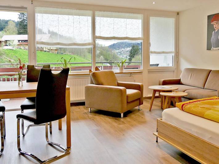 Ganze Wohnung, Hoferpeterhof: Ferienwohnung '2 Zimmer -b-' mit Bergblick, Gemeinschaftsterrasse und Wi-Fi in Bad Peterstal-Griesbach, Mittlerer Schwarzwald
