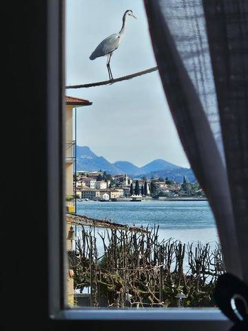 Gîte pour 3 personnes, avec vue et vue sur le lac à Mandello del Lario
