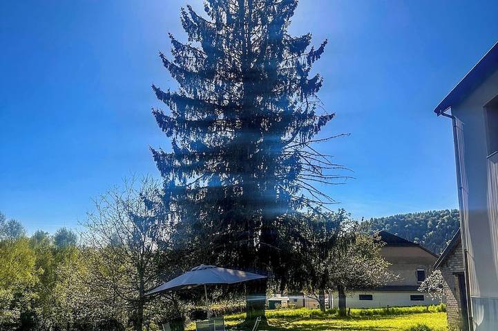 A paradise for nature lovers in Celles-sur-Plaine, Sankt Didel