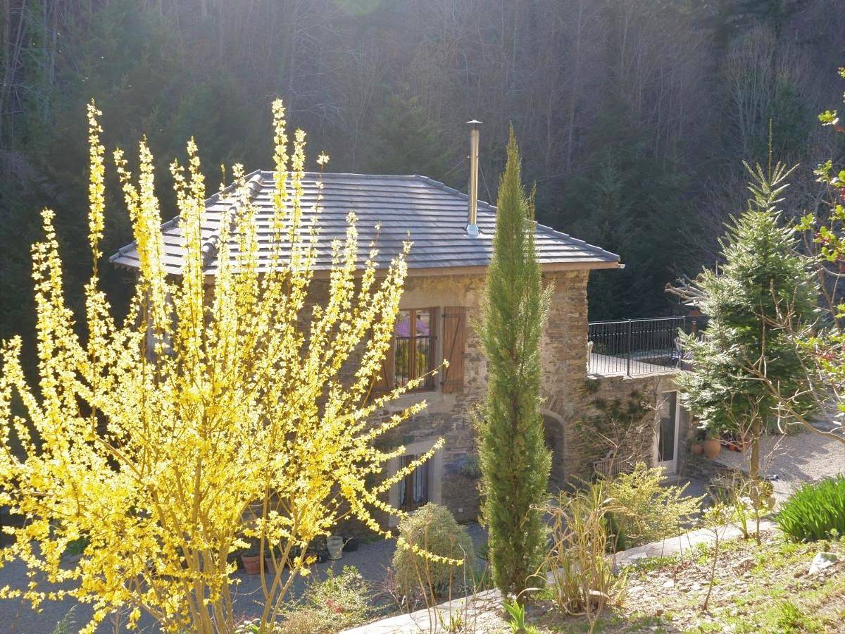 Holiday Home in Caudebronde, Région de Carcassonne