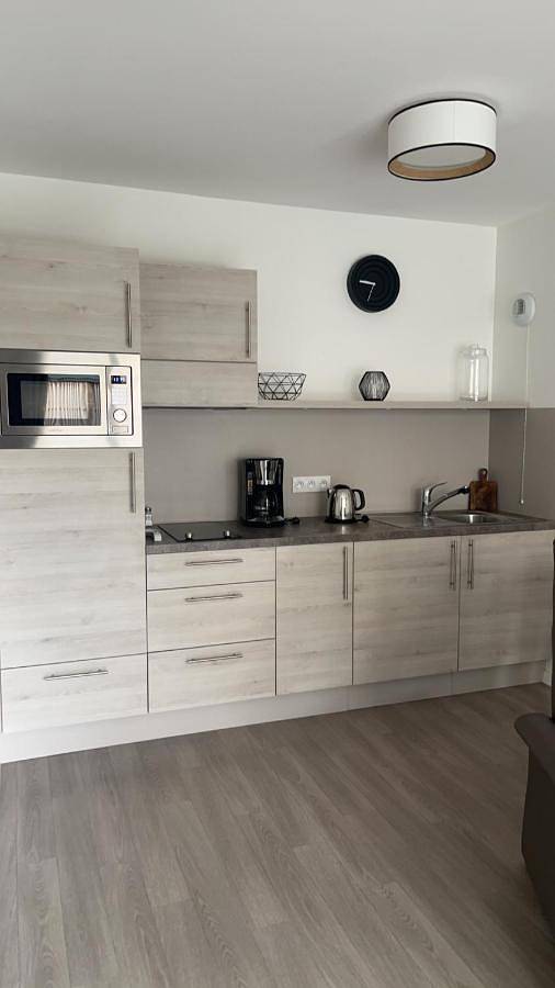 Appart’hôtel pour 4 personnes, avec sauna et piscine ainsi que jacuzzi et jardin, animaux acceptés dans Marne - 4