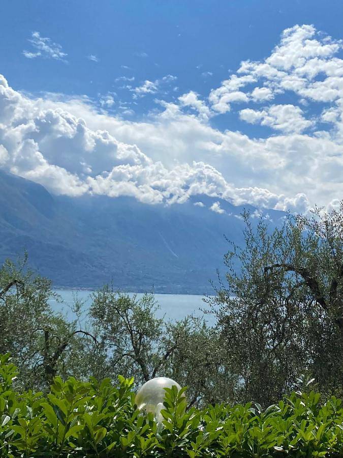 Geheel appartement, Villa Gianna Terrazza in Limone sul Garda, Garda Bergen