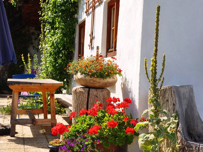 Ganze Ferienwohnung, Ferienwohnung Schuster am Fellerer - Ferienwohnung 47 qm mit zwei Schlafzimmern und Südbalkon in Aschau im Chiemgau, Chiemsee