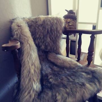 Apartment for 3 Guests in Seattle, Puget Sound, Picture 1