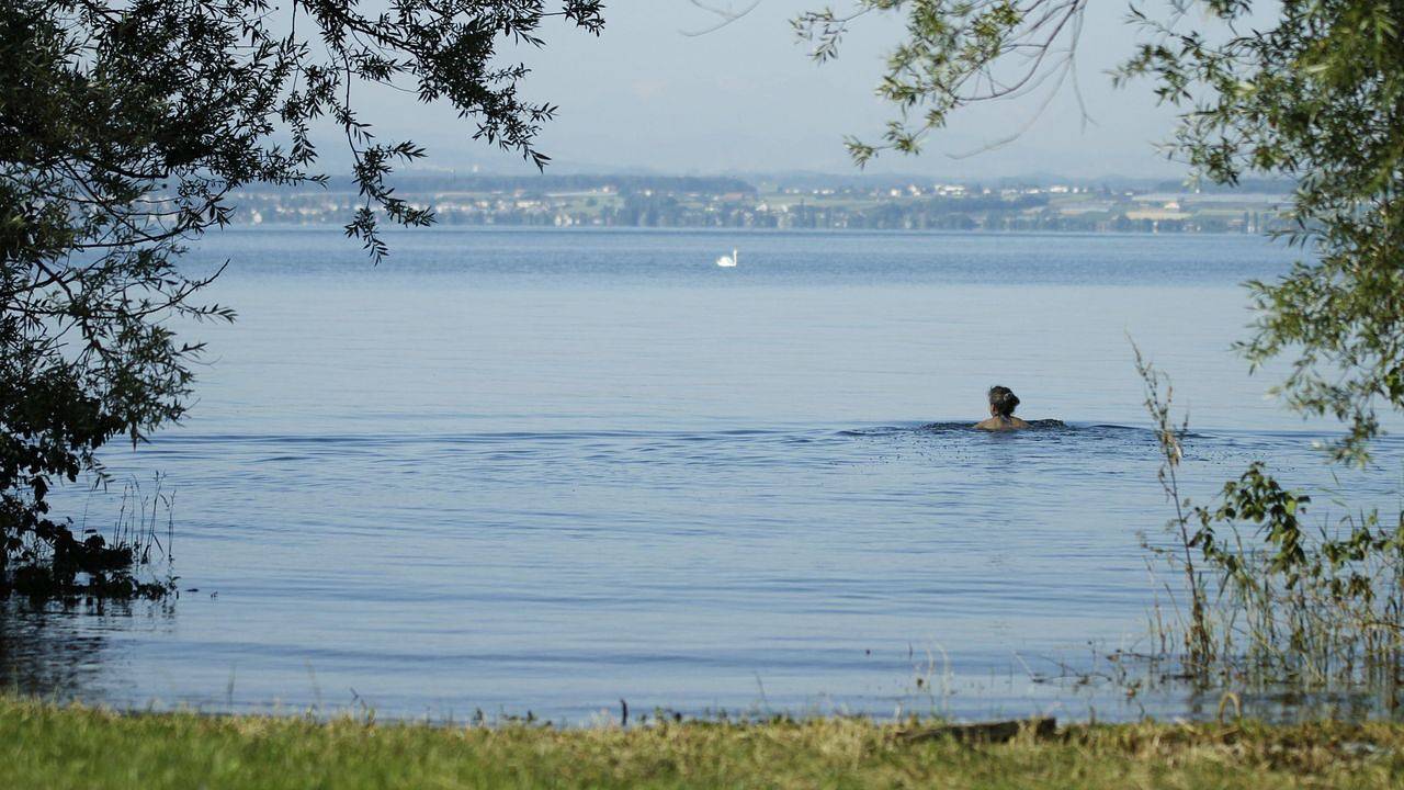 Ganze Ferienwohnung, Ferienwohnung für 2 Personen in Immenstaad am Bodensee in Immenstaad, Immenstaad am Bodensee