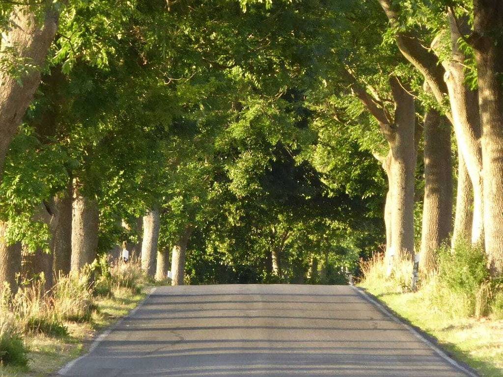 Ferienwohnung mit 2 Schlafzimmer in Gingst, Rügen