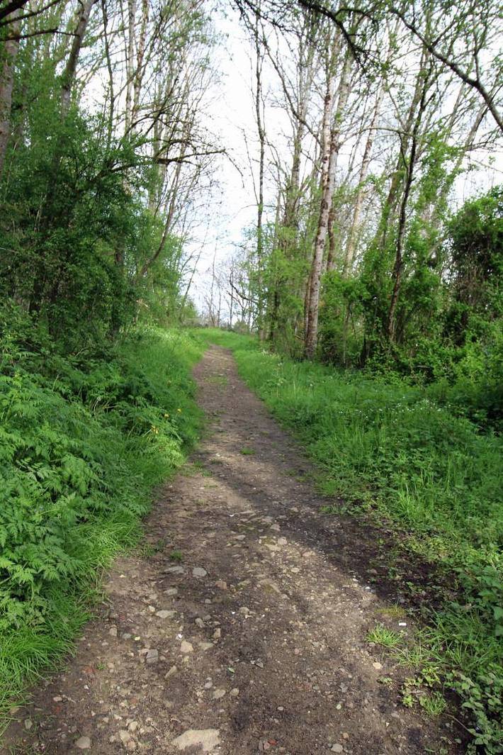 Gîte pour 4 personnes, avec jardin à Saint-Brice-sur-Vienne - 4