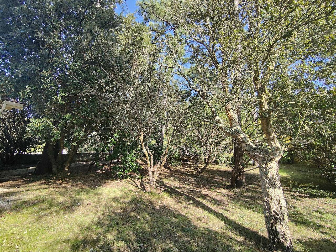 Villa with enclosed garden in Lège-Cap-Ferret, 3 bedrooms, close to beaches in L'Herbe, Lège-Cap-Ferret