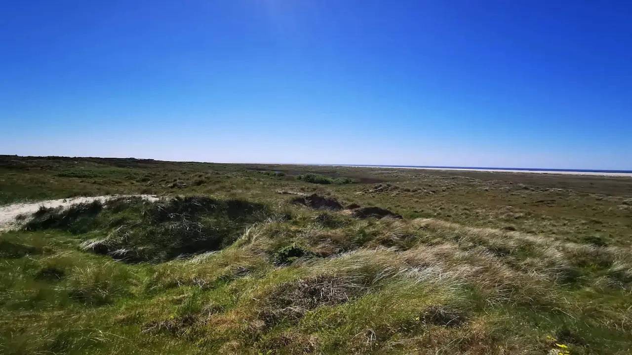 Ferienhaus für 4 Personen (80 m²) in Fanø in Nordby, Rindby