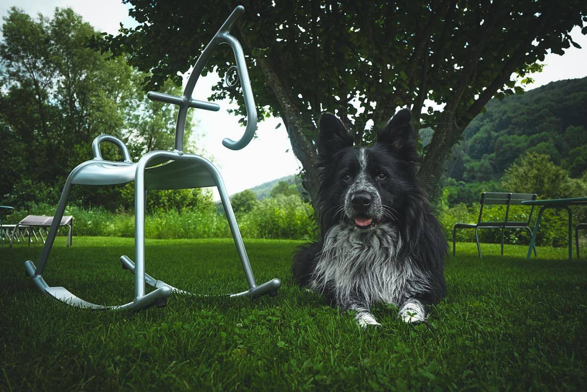 Ferienhaus Renkenmühle - Ferienhaus mit 273qm für maximal 16 Personen in Mulfingen, Hohenlohe