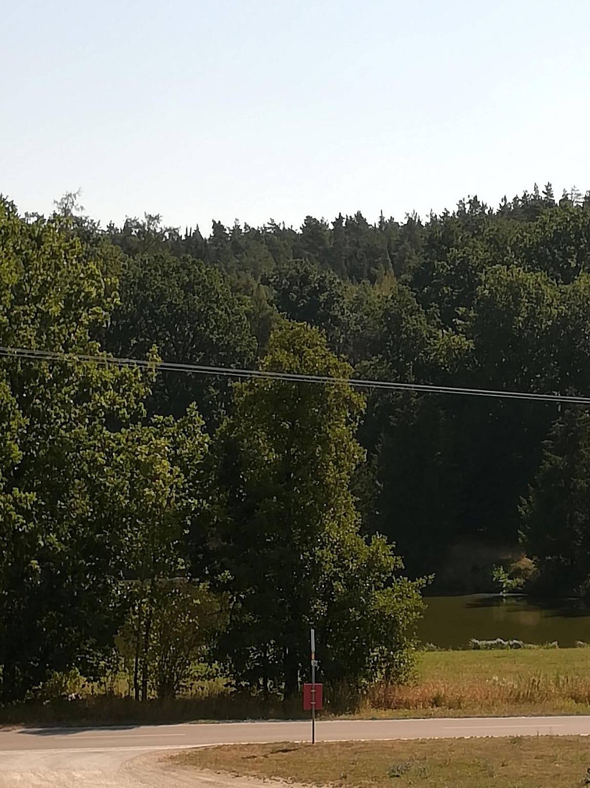 Ferienwohnung am Waldrand - Ferienwohnung am Waldrand (140qm) mit Balkon und Garten in Bechhofen, Fränkisches Seenland