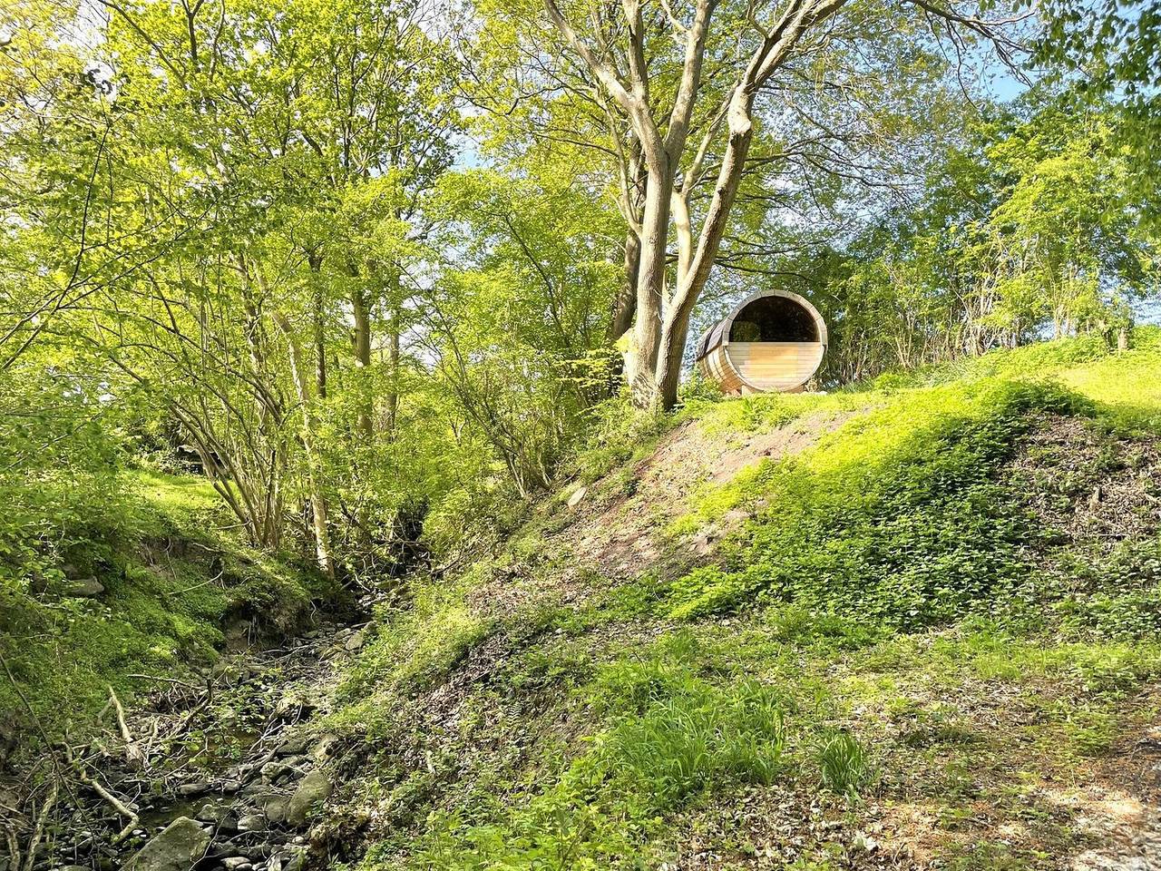 Stilvolle Reetdachkate mitten in der Natur in Quern, Steinbergkirche