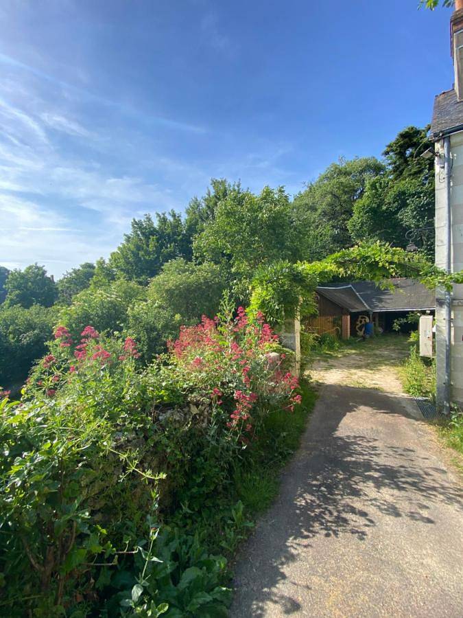 Location de vacances pour 7 personnes, avec jardin à Chisseaux - 4