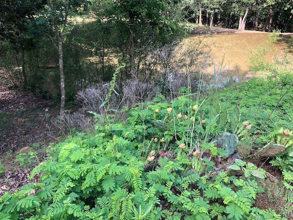 Beautiful Longhorn Lodge at Lake Texoma! in Lake Texoma