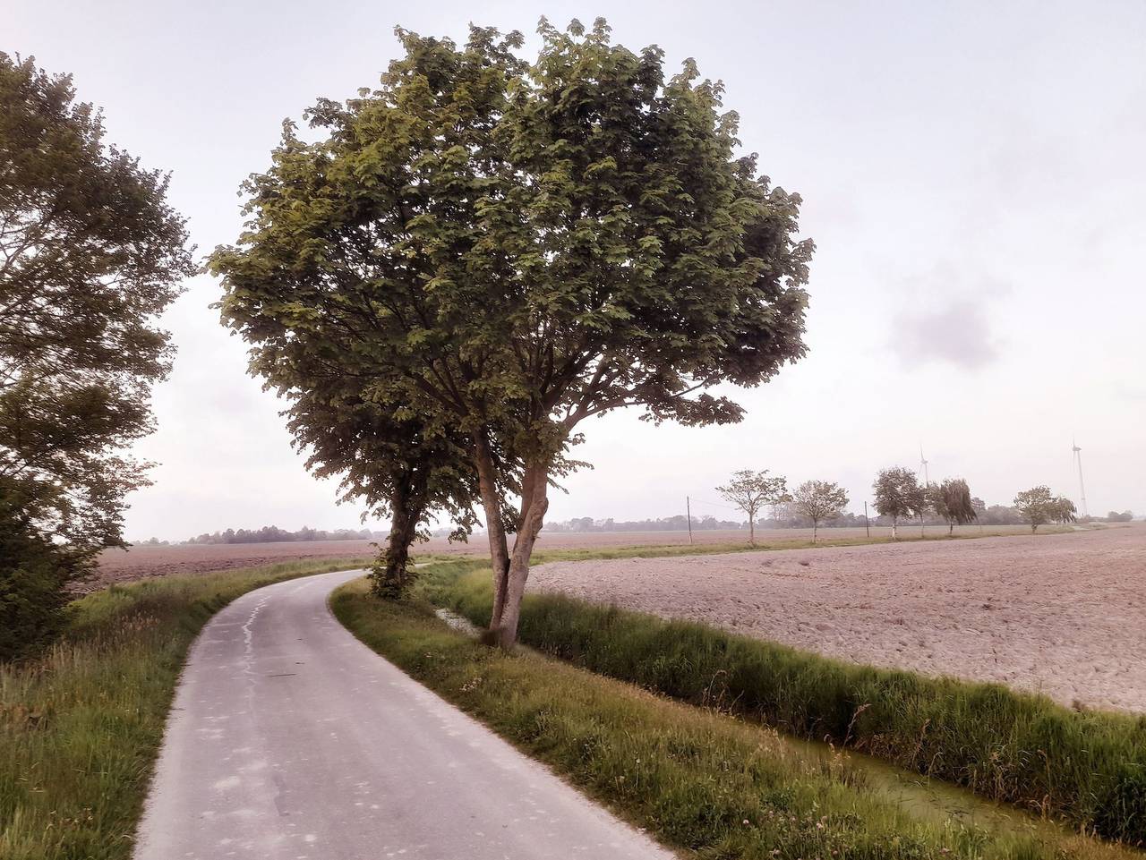 Übernachtung im Bauwagen an der Nordseeküste - Bauwagen 2 in Stedesdorf, Nordseeküste