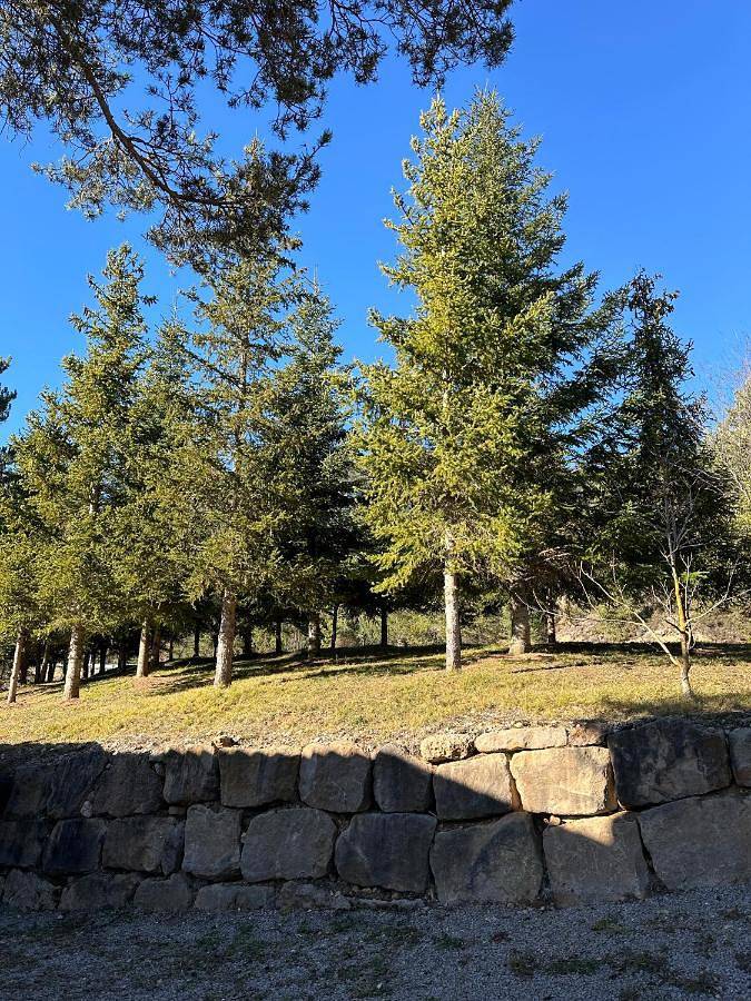 Casa rural para 18 personas, con vistas y jardín en Castellar del Riu - 4