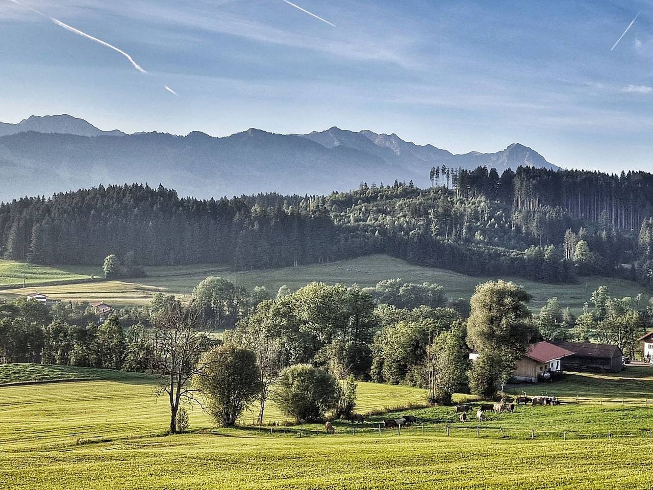 Alpe 44 - Alpe 44 in Ofterschwang, Bayerisch Schwaben