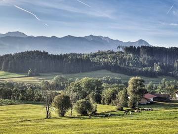 Chalet für 8 Personen in Ofterschwang, Hörnerdörfer, Bild 4