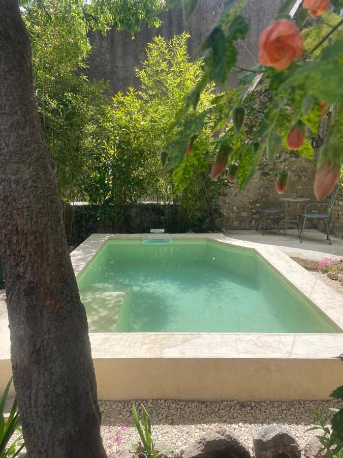 Maison Felisa in Saint-Bauzély, Région de Nîmes