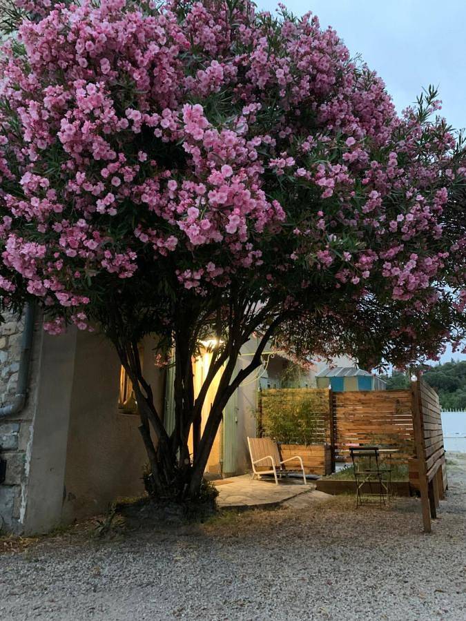 Gîte pour 2 personnes, avec terrasse et jardin à Ribaute-les-Tavernes - 4