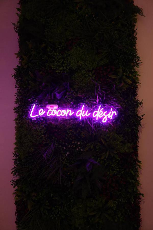 Gîte pour 2 personnes, avec terrasse ainsi que jacuzzi et jardin à Montaigut-sur-Save - 4