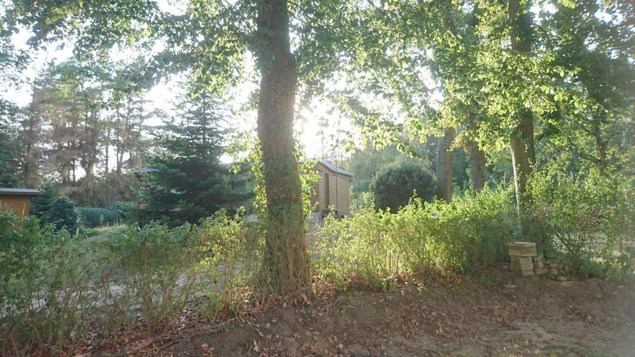 Waldhaus Halvor in Gardelegen, Altmarkkreis Salzwedel