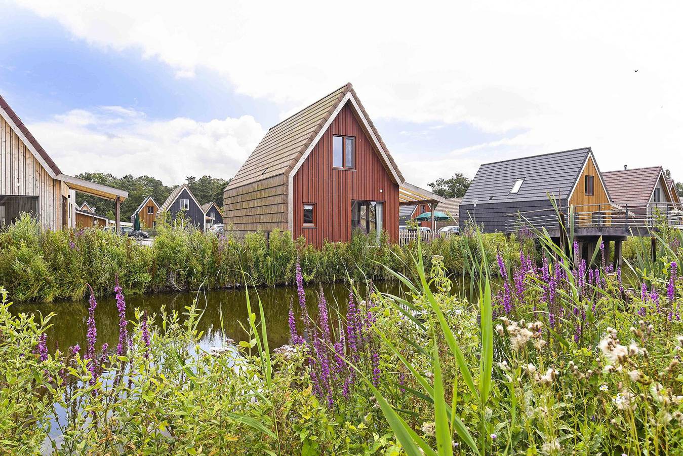 Landal De Reeuwijkse Plassen — 4-persoons kinderwoning in Reeuwijk, Groene Hart