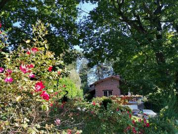 Chambre d’hôte pour 4 personnes, avec jardin à Esneux