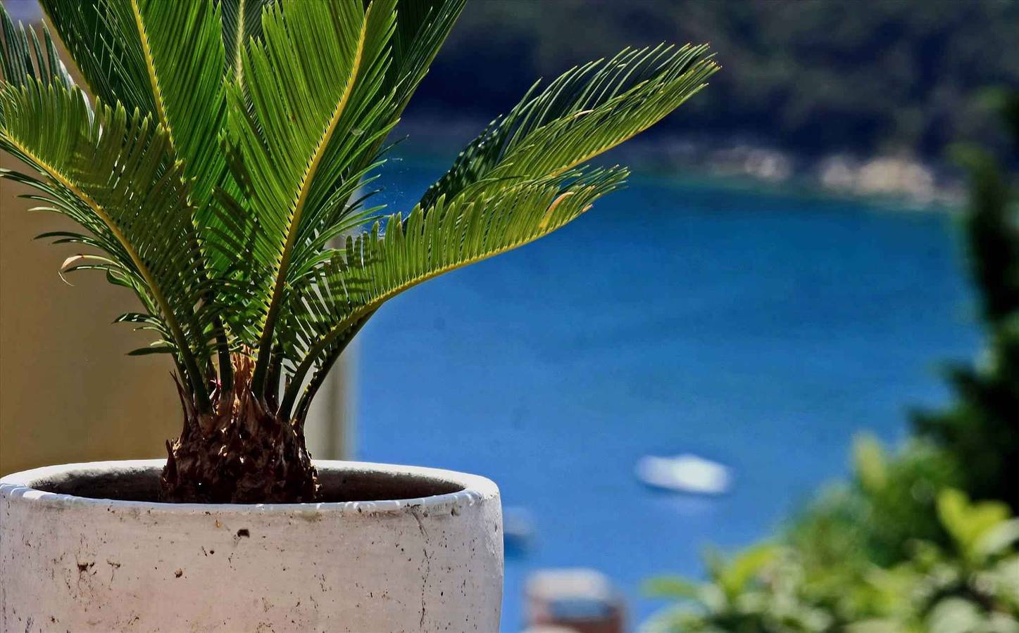 Appartement de vacances entier, Appartement de vacances avec terrasse et climatisation  in Rabac, Labin-Rabac