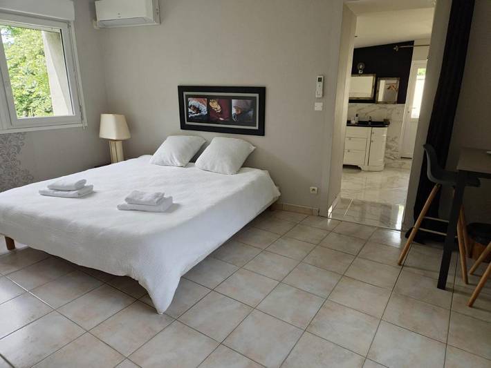 Maison d’hôte pour 4 personnes, avec Jacuzzi et Terrasse ainsi que Jardin et Piscine à Yvré-l'Évêque - 3