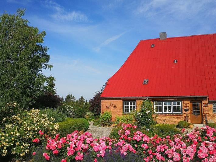 Ferienhaus für 6 Personen, mit Terrasse in Malente